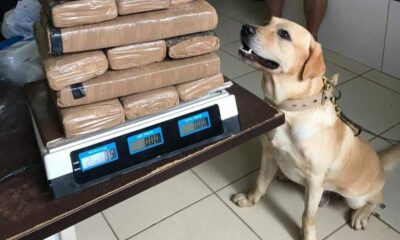 WhatsApp Image 2023-03-22 at 10.47.23 WhatsApp Image 2023-03-22 at 10.47.23