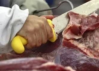 WhatsApp Image 2023-03-23 at 09.53.18