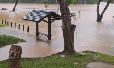 WhatsApp Image 2023-03-23 at 17.12.52 WhatsApp Image 2023-03-23 at 17.12.52