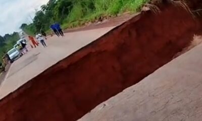 WhatsApp Image 2023-03-24 at 10.29.15 WhatsApp Image 2023-03-24 at 10.29.15