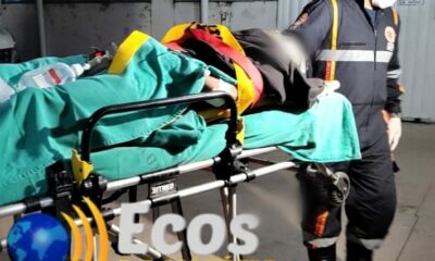 WhatsApp Image 2023-03-25 at 09.01.46