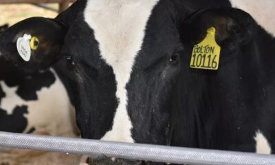 WhatsApp Image 2023-03-25 at 10.38.23