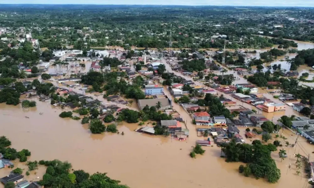 WhatsApp-Image-2023-03-28-at-09.23.06-1-1 WhatsApp-Image-2023-03-28-at-09.23.06-1-1