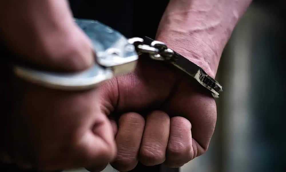 WhatsApp Image 2023-03-28 at 09.31.44 WhatsApp Image 2023-03-28 at 09.31.44