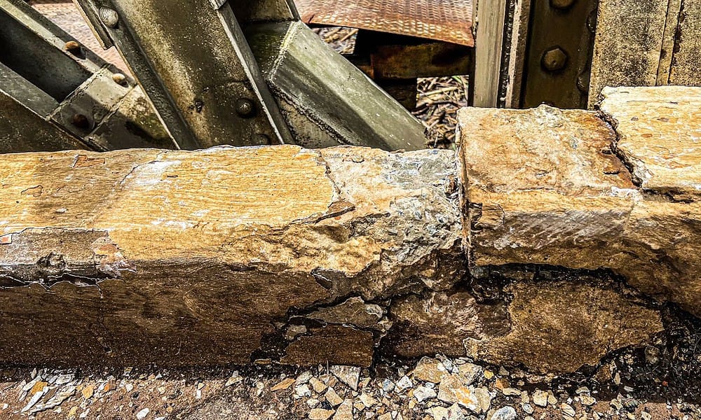 WhatsApp Image 2023-03-28 at 12.13.21