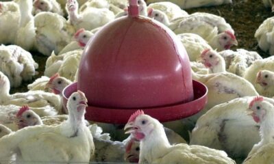 WhatsApp Image 2023-03-30 at 12.09.49