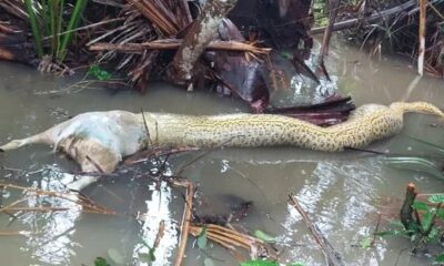 WhatsApp Image 2023-03-30 at 15.02.30