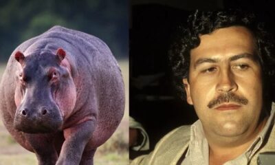 WhatsApp Image 2023-03-30 at 16.08.29