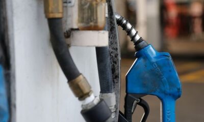 WhatsApp Image 2023-03-31 at 16.50.57