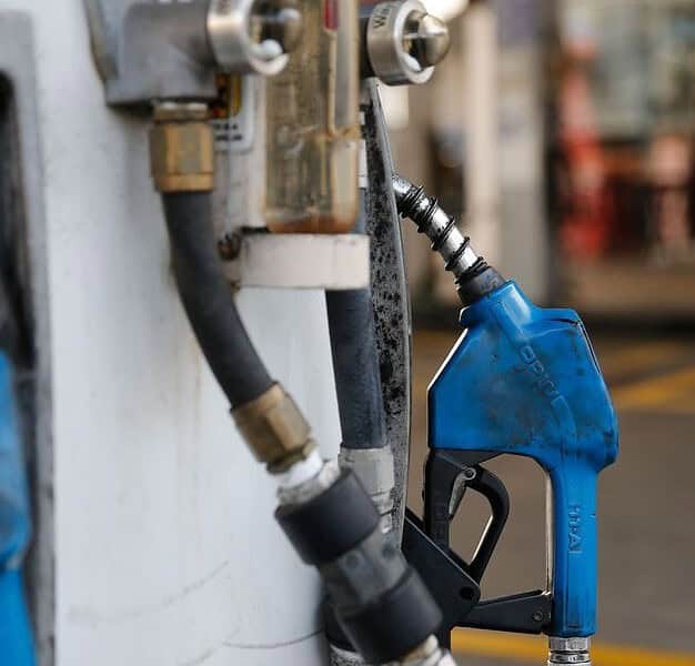 WhatsApp Image 2023-03-31 at 16.50.57