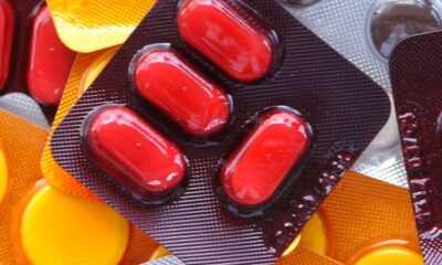 WhatsApp Image 2023-03-31 at 18.46.24