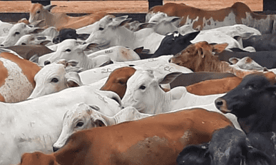 capture-20230321-105904 capture-20230321-105904