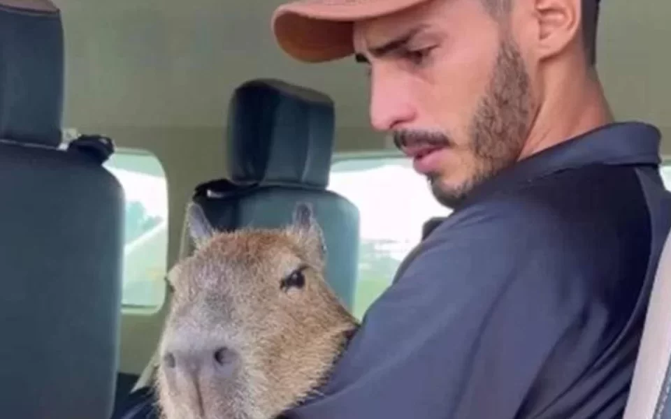 Agenor-960×640 Agenor-960x640