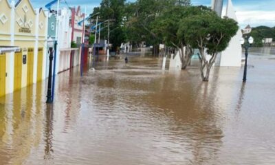 WhatsApp Image 2023-04-01 at 14.15.17