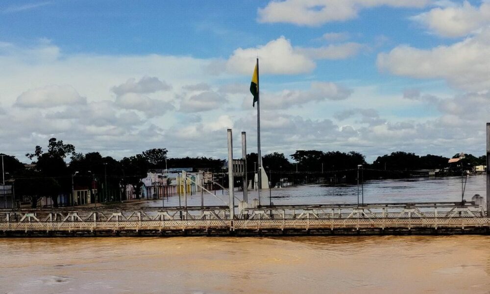 WhatsApp Image 2023-04-02 at 17.33.08