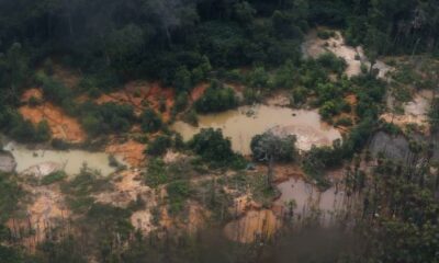 WhatsApp Image 2023-04-02 at 20.42.40