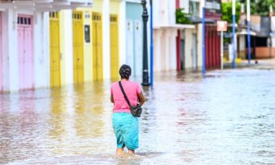 WhatsApp Image 2023-04-03 at 11.21.00