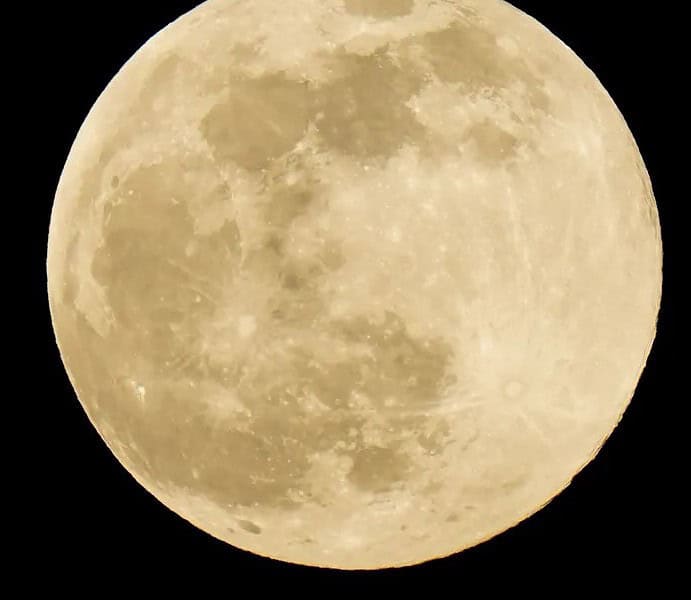 WhatsApp Image 2023-04-05 at 15.33.11 WhatsApp Image 2023-04-05 at 15.33.11