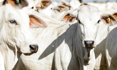 WhatsApp Image 2023-04-07 at 10.14.48