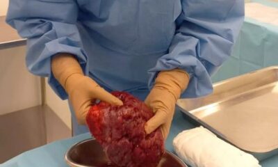 WhatsApp Image 2023-04-09 at 17.29.29 WhatsApp Image 2023-04-09 at 17.29.29