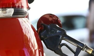 WhatsApp Image 2023-04-11 at 11.50.40