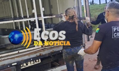 WhatsApp Image 2023-04-12 at 09.51.47 WhatsApp Image 2023-04-12 at 09.51.47