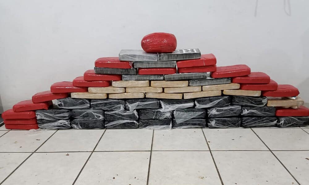 WhatsApp Image 2023-04-12 at 16.11.14 WhatsApp Image 2023-04-12 at 16.11.14