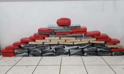 WhatsApp Image 2023-04-12 at 16.11.14 WhatsApp Image 2023-04-12 at 16.11.14