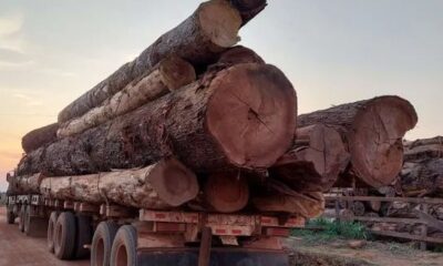 WhatsApp Image 2023-04-13 at 12.05.05