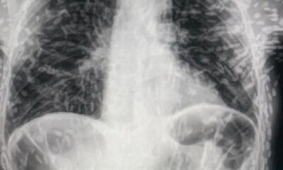 WhatsApp Image 2023-04-18 at 15.36.40