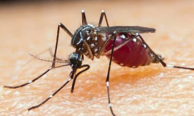 WhatsApp Image 2023-04-25 at 15.02.27