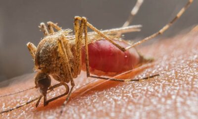 WhatsApp Image 2023-04-26 at 11.43.52