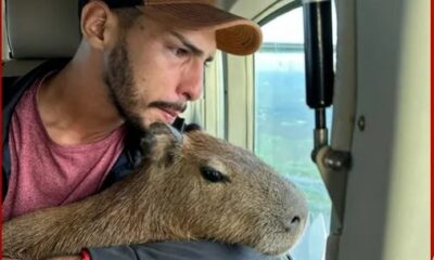 WhatsApp Image 2023-04-28 at 00.26.37