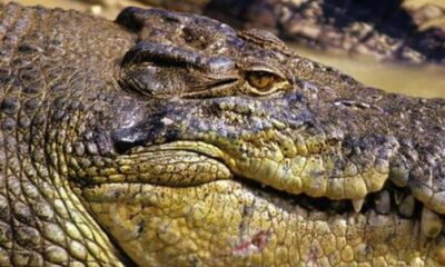 WhatsApp Image 2023-05-03 at 16.26.10