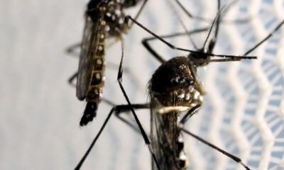 WhatsApp Image 2023-05-04 at 12.49.39