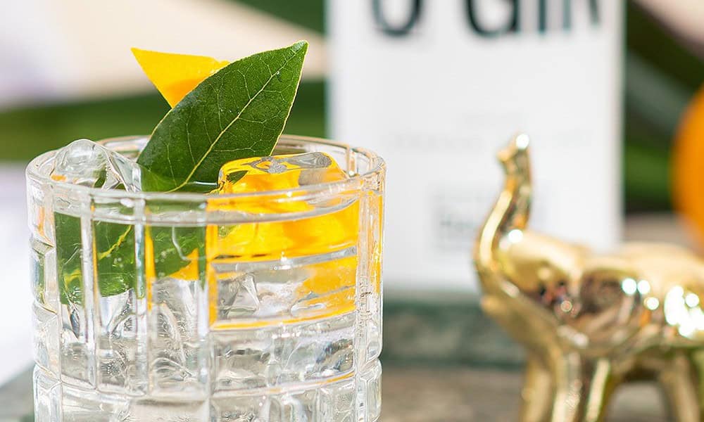 WhatsApp Image 2023-05-10 at 16.00.24 WhatsApp Image 2023-05-10 at 16.00.24