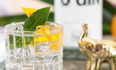 WhatsApp Image 2023-05-10 at 16.00.24