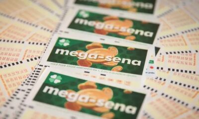 WhatsApp Image 2023-05-12 at 09.15.41