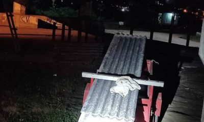 WhatsApp Image 2023-05-13 at 12.39.23