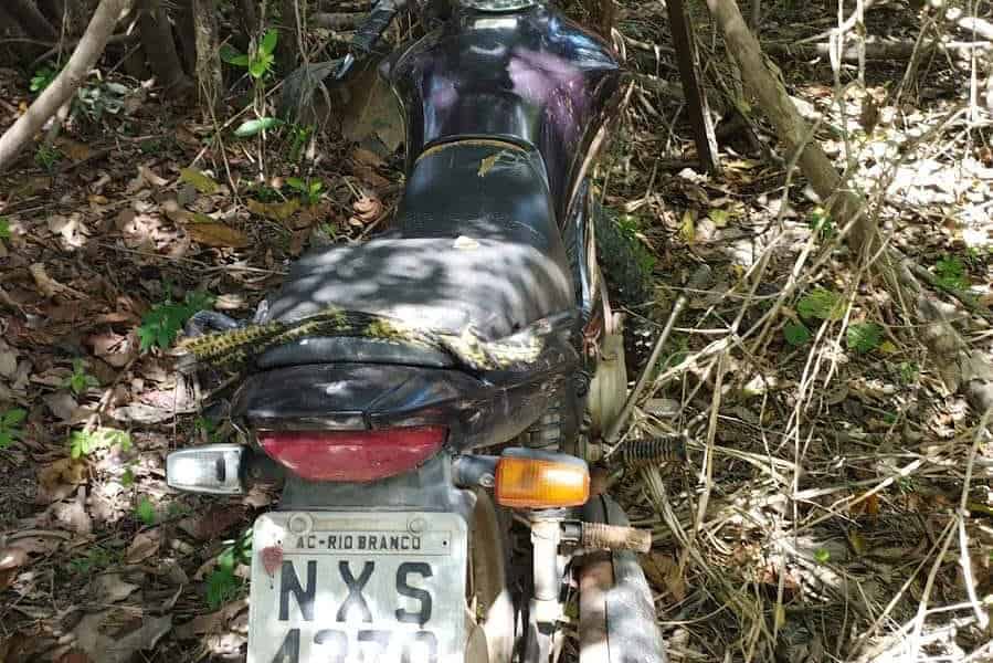 WhatsApp Image 2023-05-13 at 15.23.10