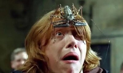 WhatsApp Image 2023-05-15 at 12.30.07