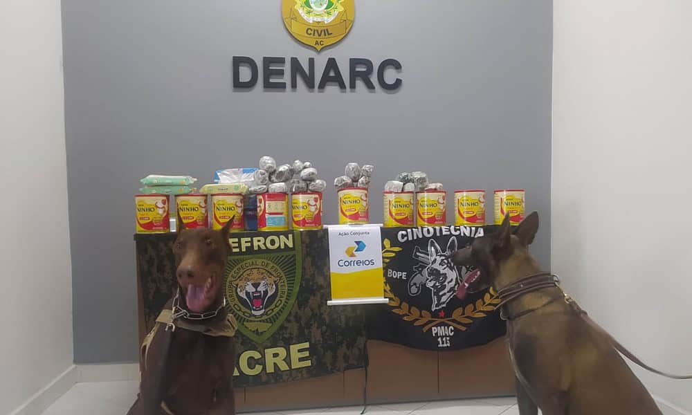 WhatsApp Image 2023-05-20 at 11.00.30 WhatsApp Image 2023-05-20 at 11.00.30