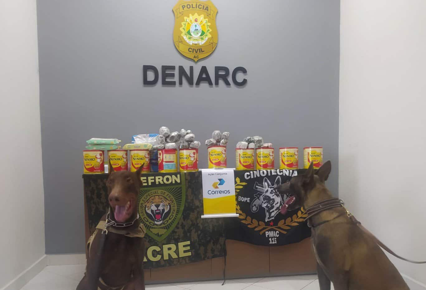 Polícia apreendem drogas que seriam enviadas para São Paulo