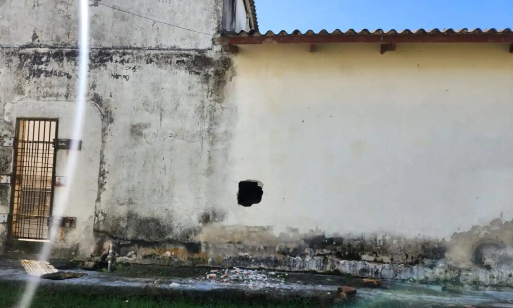 WhatsApp Image 2023-05-22 at 10.14.36 WhatsApp Image 2023-05-22 at 10.14.36