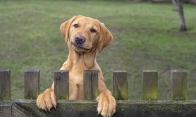 WhatsApp Image 2023-05-22 at 12.41.41