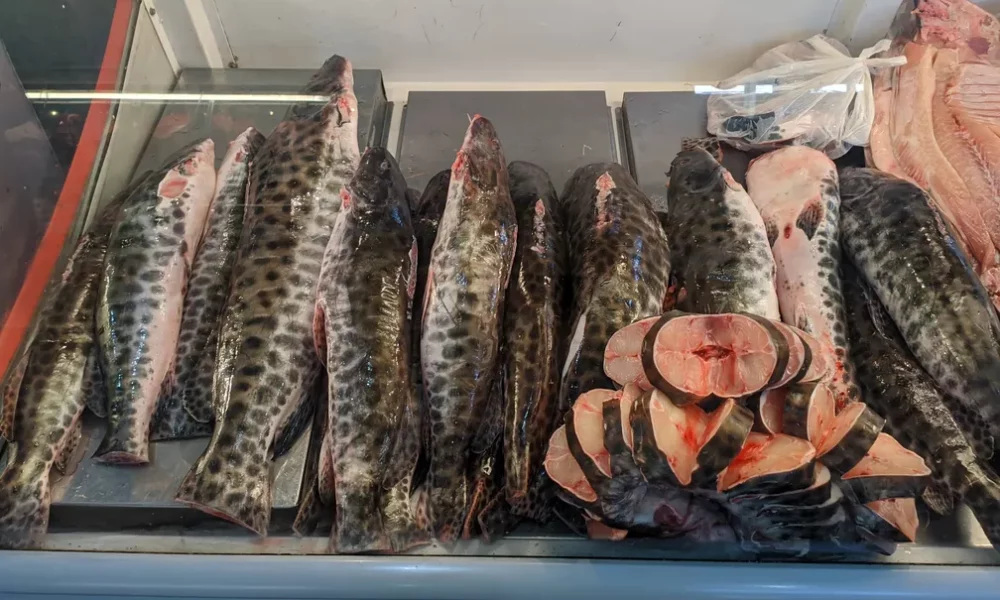 img-20220411-123245 img-20220411-123245