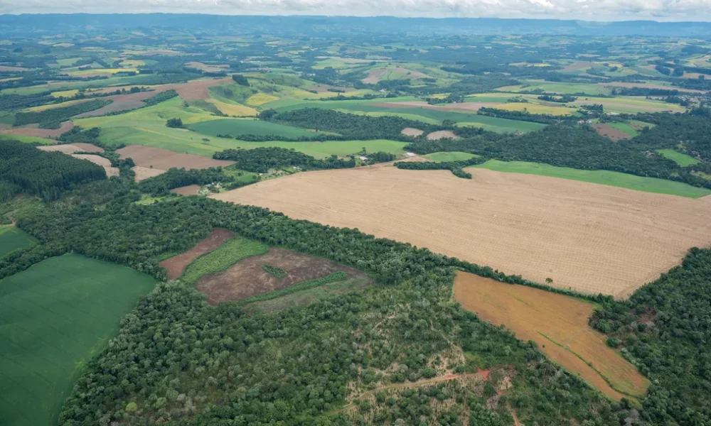 sos-mata-atlantica-areas-de-desmatamento-no-parana-credito-zig-koch-sos-mata-altantica-1- sos-mata-atlantica-areas-de-desmatamento-no-parana-credito-zig-koch-sos-mata-altantica-1-
