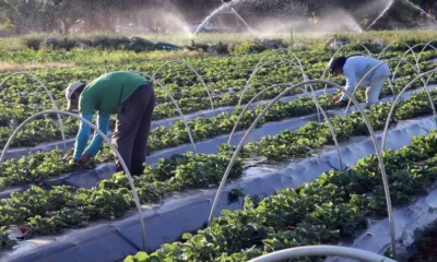 1089294-vcapto_abr_2408172792_1