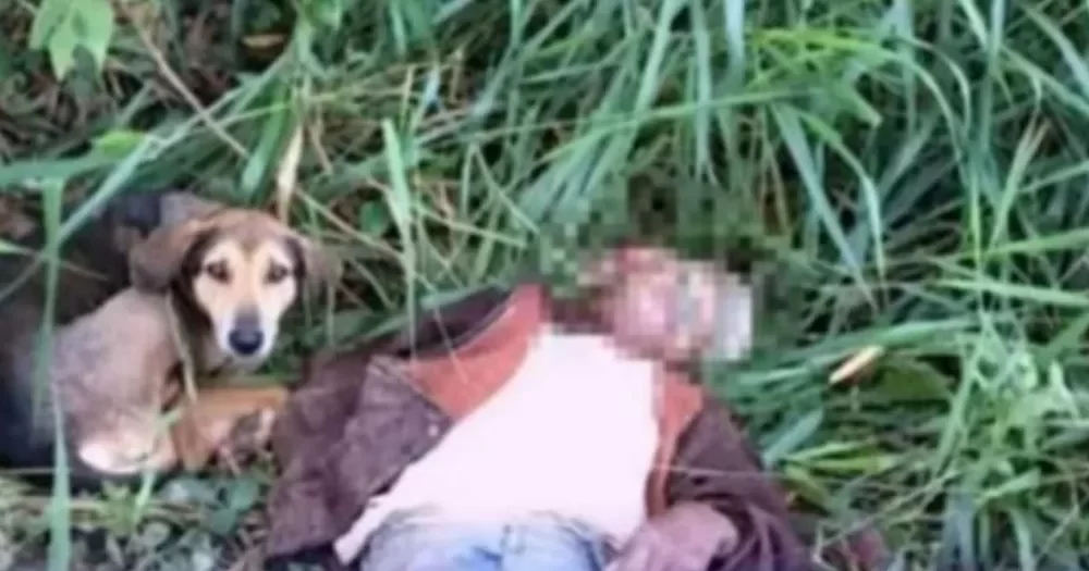 1686858154461-jpg 1686858154461-jpg