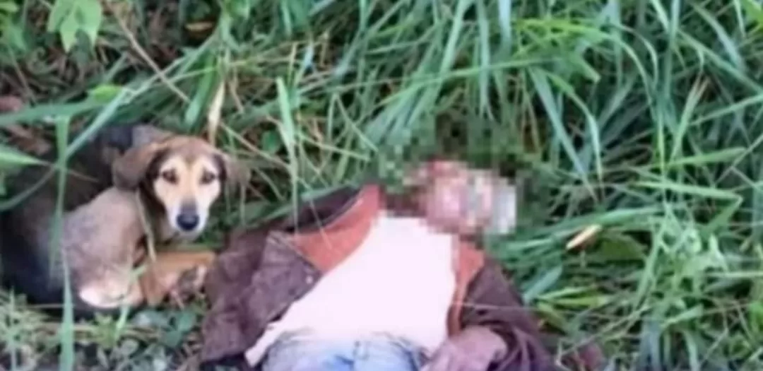Frio mata idoso no Acre; corpo é encontrado ao lado de cachorro
